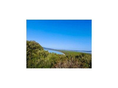 Holiday house Tuscany Villa with Terrace - Outdoor photo 15