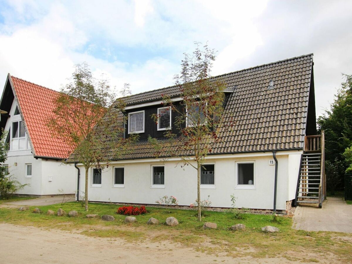 Holiday house Ferienhaus Wildrose im Mueritz Nationalpark - Outdoor photo 4