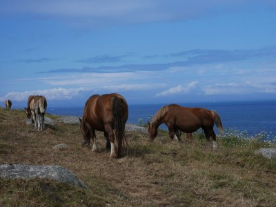 Holiday house Haus in Treompan nahe Sandstrand - Environment photo 29