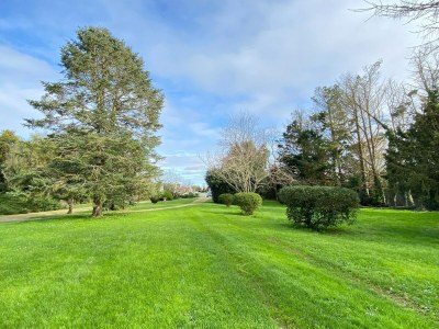 Holiday house Semi-detached house on a vineyard, Talais - Outdoor photo 6