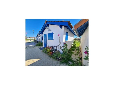 Holiday house Semi-detached house on a vineyard, Talais - Environment photo 21