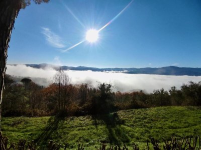 Holiday house Holiday Home in Citerna near Castello Bufalini - Environment photo 33