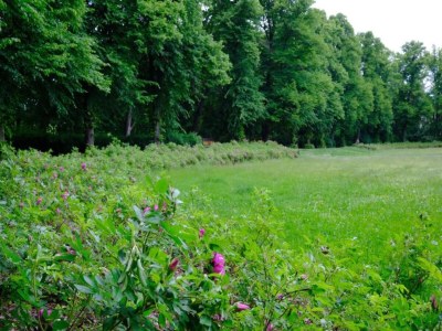 Apartment Elegant Countryside Retreat - Environment photo 31