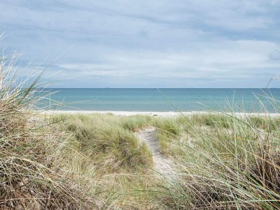 Holiday house 6 person holiday home in Ålbæk-By Traum - Outdoor photo 29