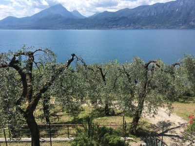 Holiday house La Pianta - private fenced garden - Outdoor photo 11