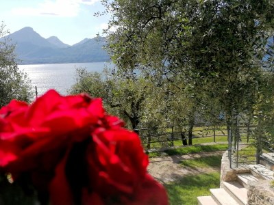 Holiday house La Pianta - private fenced garden - Outdoor photo 16