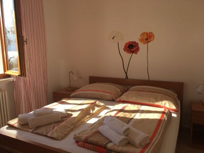 Holiday house La Pianta - private fenced garden - Features photo 24
