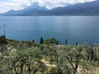 Holiday house La Pianta - private fenced garden - Environment photo 29