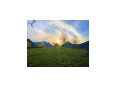 Apartment Toplitzsee Plus - Outdoor photo 68