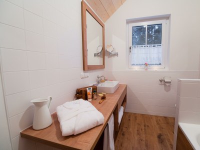Apartment Toplitzsee Plus - Features photo 91