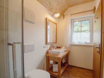 Apartment Salzkammergut Plus - Features photo 85