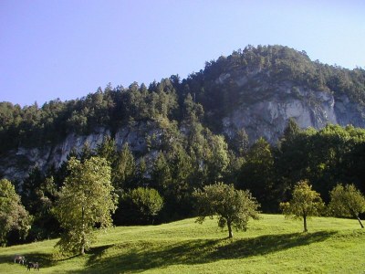 Apartment Ferienwohnung Pendlingblick 4**** - Outdoor photo 15