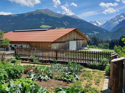 Holiday apartment Schranzlhof Timeout - Outdoor photo 6