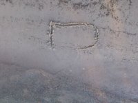 D + M Wassili