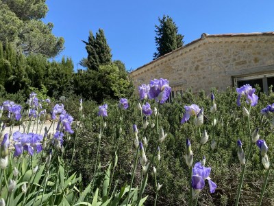Holiday house Charming cottage with view - Outdoor photo 11