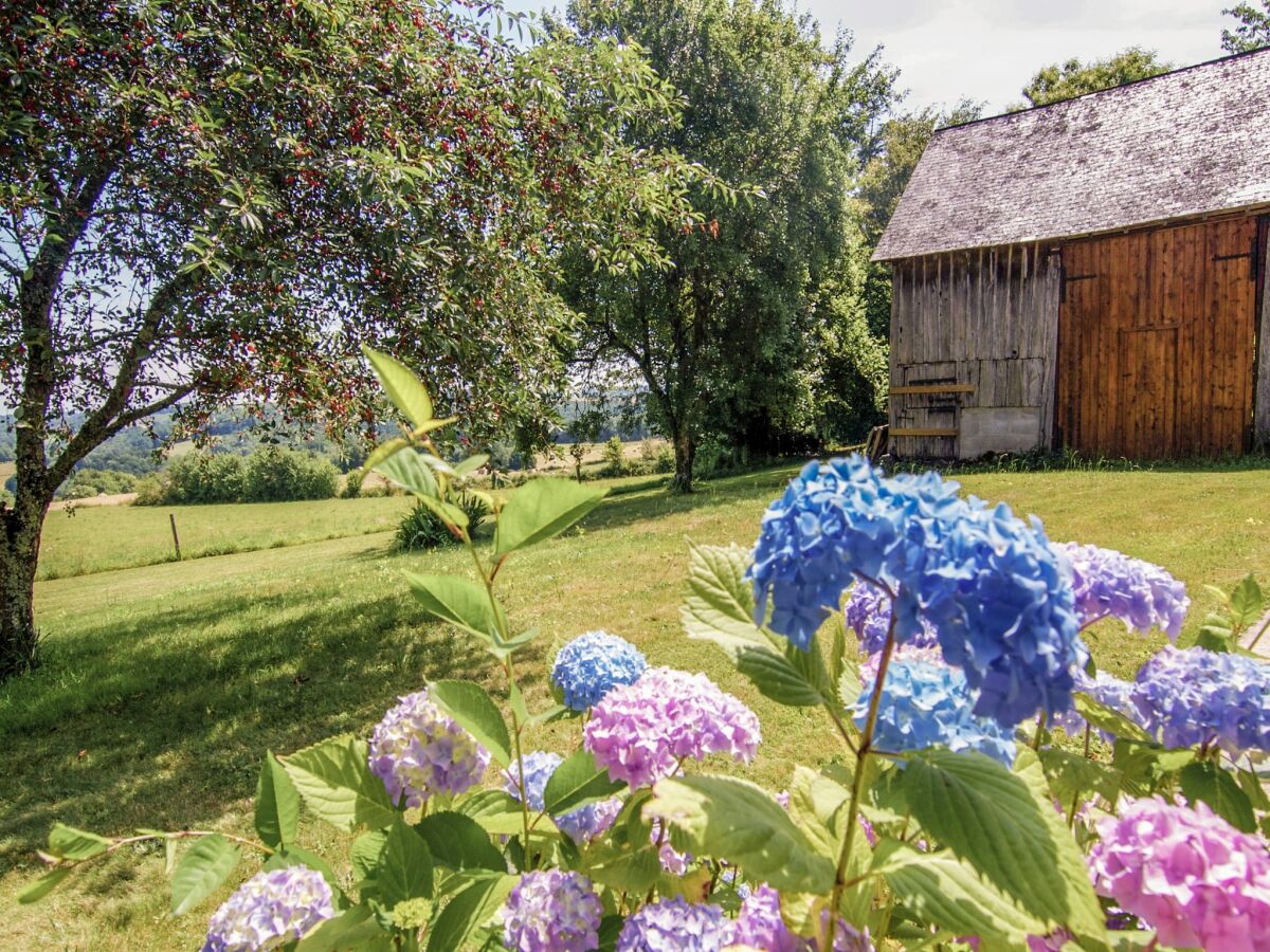 Holiday house Ruhiges Ferienhaus in Savignac - Outdoor photo 3