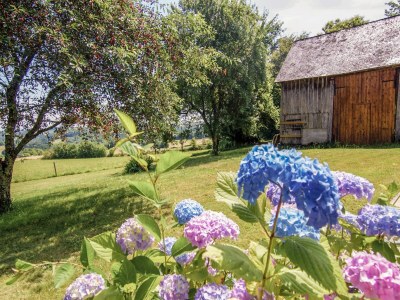 Holiday house Ruhiges Ferienhaus in Savignac - Outdoor photo 3