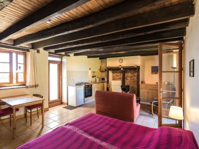 Holiday house Ruhiges Ferienhaus in Savignac - Features photo 14