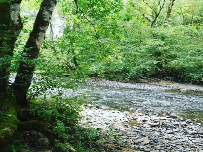 Holiday house Ruhiges Ferienhaus in Savignac - Environment photo 25