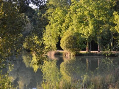 Holiday house Ferienhaus in Loubigné mit Pool & Terrasse - Environment photo 35