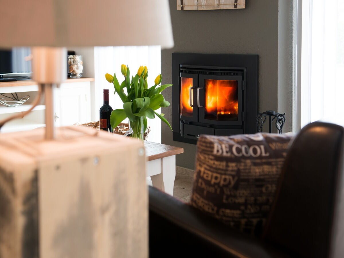 Holiday apartment Texel island with fireplace and shower, pets allowed