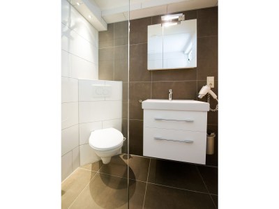 Holiday apartment Texel island with fireplace and shower, pets allowed - Outdoor photo 3