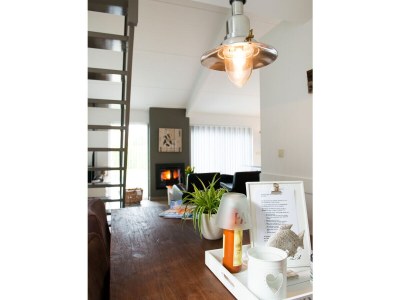 Holiday apartment Texel island with fireplace and shower, pets allowed - Outdoor photo 10