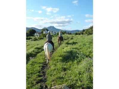 Finca Tower - Environment photo 23