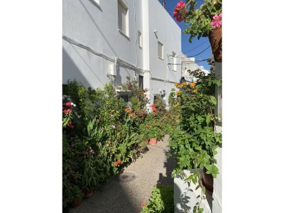 Holiday house Los Remos - Environment photo 25
