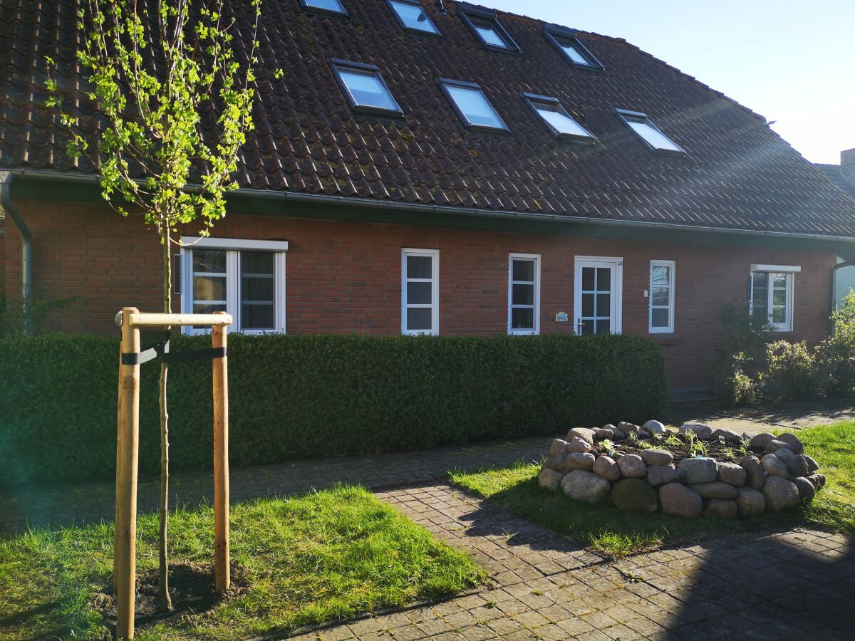 Holiday apartment Südwind - Outdoor photo 3