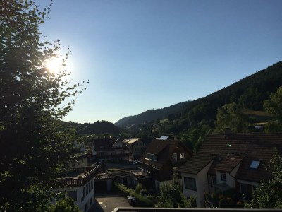 Apartment Gartenblick - Outdoor photo 6