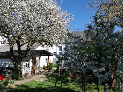 Holiday apartment Andreas Thul - Outdoor photo 6