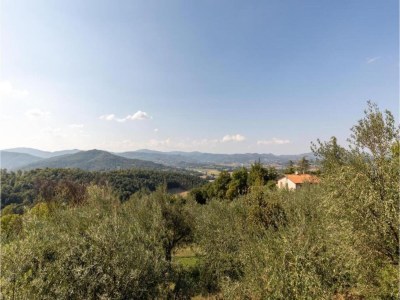 Holiday house Tower House in Umbria with Pool and Garden - Environment photo 31