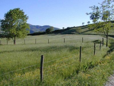 Holiday house Tower House in Umbria with Pool and Garden - Environment photo 33