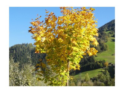 Apartment Apartment "Morgensonne" - Outdoor photo 19