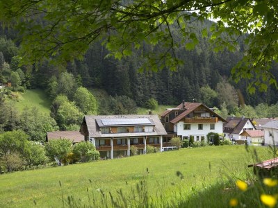 Apartment Ferienwohnung Ahorn in Baiersbronn - Apartment