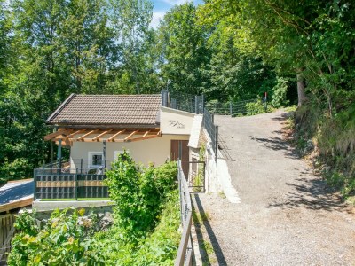 Holiday house Apartment Bramberg near Wildkogel Ski Lift - Outdoor photo 4