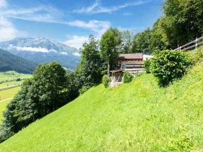 Holiday house Apartment Bramberg near Wildkogel Ski Lift - Environment photo 20