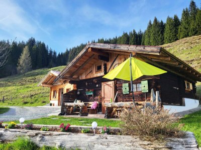 Apartment * 3-Raum Hütte für bis zu 5 Personen in Zell am See - Apartment