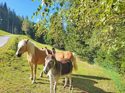 Apartment Ferienhaus für bis zu 6 Personen - Outdoor photo 24