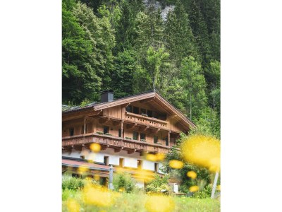 Apartment Appartement Linde - Outdoor photo 22
