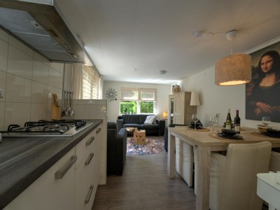 Holiday house Holiday home in Hattemerbroek with smart TV - Features photo 20