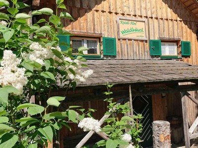 Holiday house Waldhäusl in Bad Mitterndorf - Holiday house