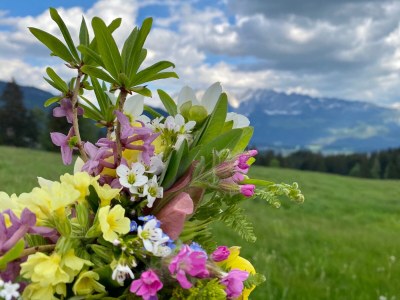 Apartment /Fewo, Dusche, WC, 2 Schlafräume - Outdoor photo 23