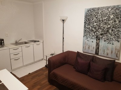 Apartment Apartments Minerva - Superior One Bedroom Apartment (A3) - Features photo 14
