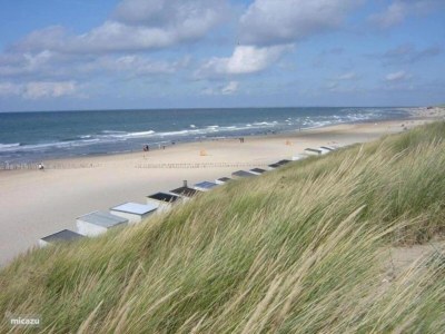 Chalet Chalet in Oostkapelle near Beach & Pool - Environment photo 30