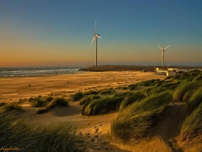Holiday house Peaceful Retreat near Zeeland Beach - Environment photo 17