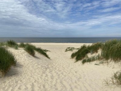 Holiday house Peaceful Retreat near Zeeland Beach - Environment photo 28