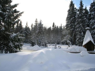 Holiday house Ferienhaus mit Wellnessbereich in Elend - Environment photo 27