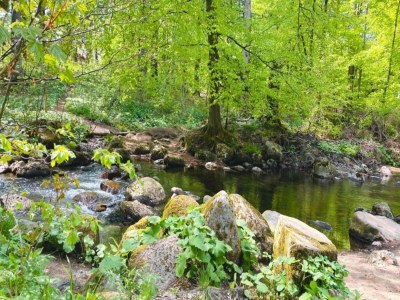 Holiday house Ferienhaus mit Wellnessbereich in Elend - Environment photo 30